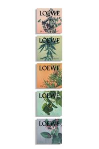 LOEWE_flegrance-sample-popular_each