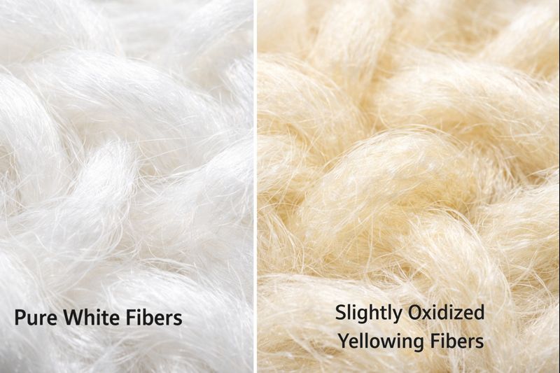 h2-1_maxmara-white-cleaning